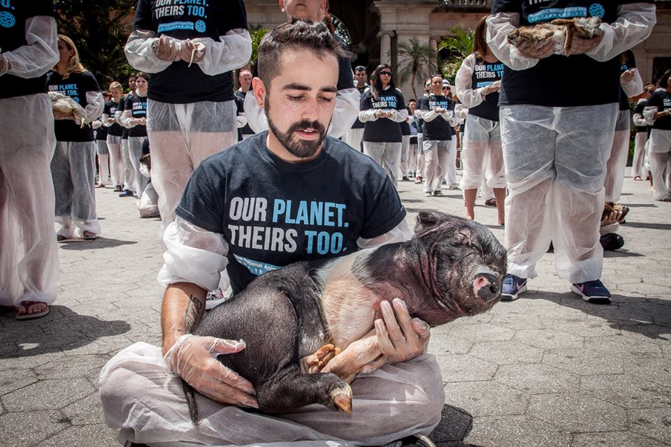 The National Animal Rights Day